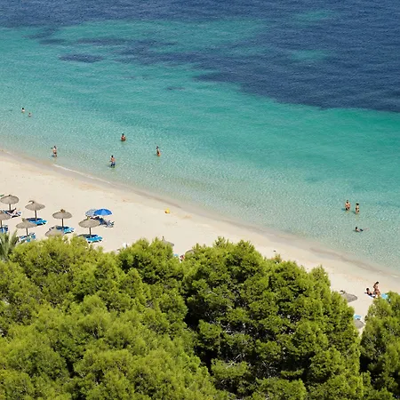 Melia Calvia Hotel 4*